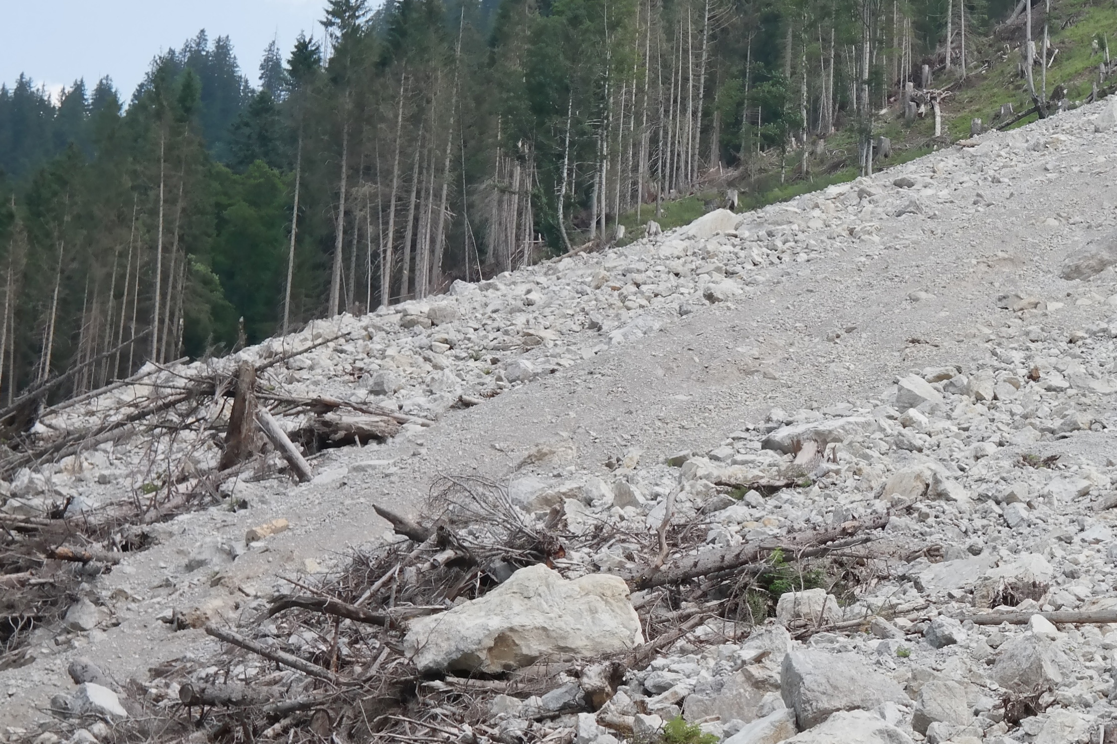 Bergsturz